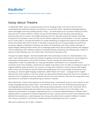 Essay about Theatre