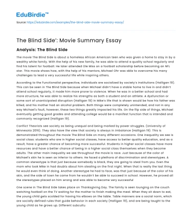 The Blind Side’: Movie Summary Essay