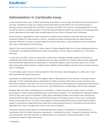 Deforestation in Cambodia Essay