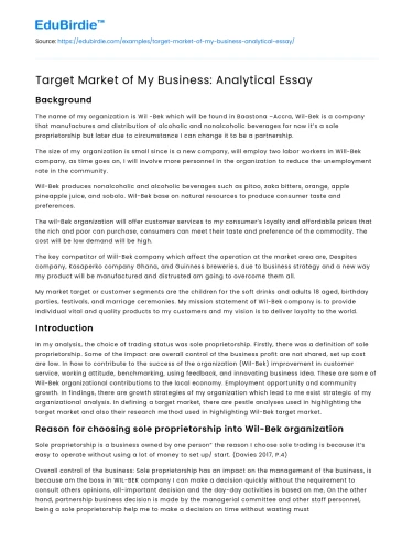 Target Market of My Business: Analytical Essay