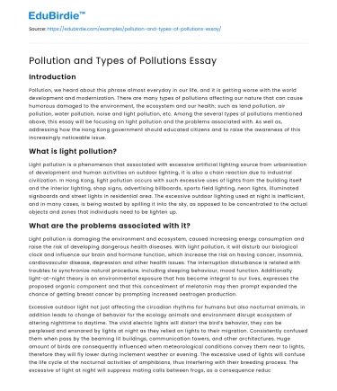 Pollution and Types of Pollutions Essay
