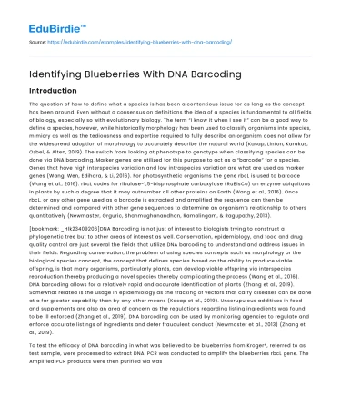 Identifying Blueberries With DNA Barcoding