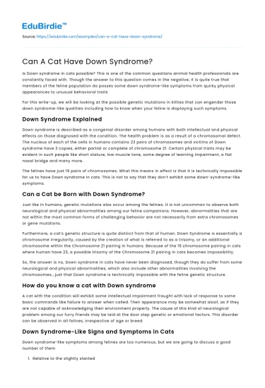 Can A Cat Have Down Syndrome?