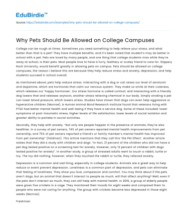 Why Pets Should Be Allowed on College Campuses