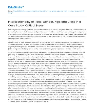 Intersectionality in Case Study: Race, Gender, Age, Class