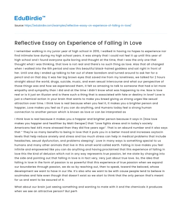 The Intricacies of Romantic Love: A Reflective Analysis