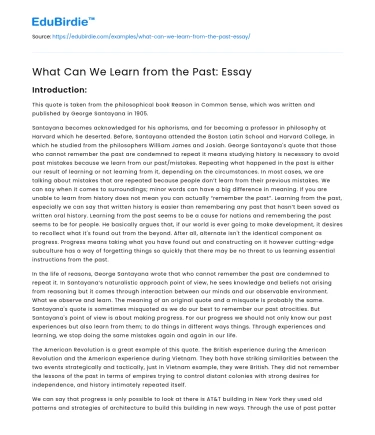 What Can We Learn from the Past: Essay