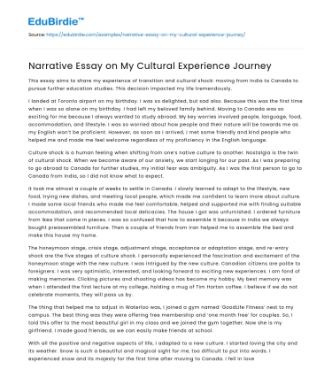 Narrative Essay on My Cultural Experience Journey