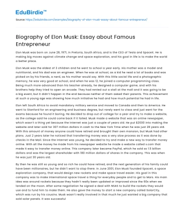 Biography of Elon Musk: Essay about Famous Entrepreneur