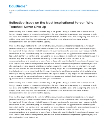 Inspirational Essay: Never Give Up Mentors