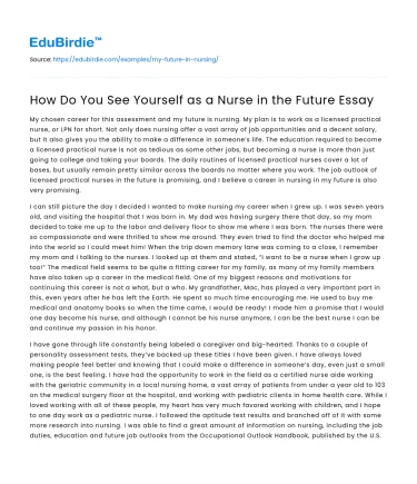 How Do You See Yourself as a Nurse in the Future Essay