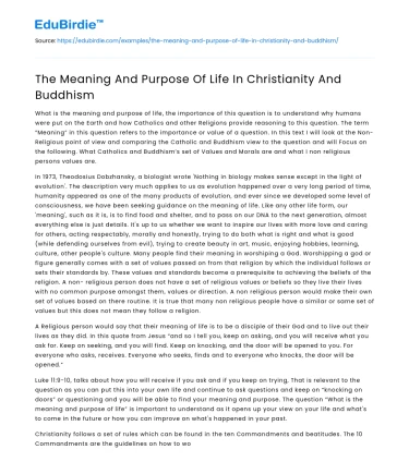The Meaning And Purpose Of Life In Christianity And Buddhism