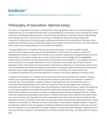 Philosophy of Education: Opinion Essay
