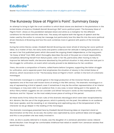 The Runaway Slave at Pilgrim’s Point’: Summary Essay