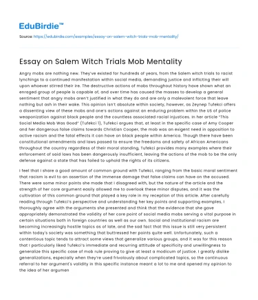 Essay on Salem Witch Trials Mob Mentality