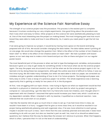 My Experience at the Science Fair: Narrative Essay