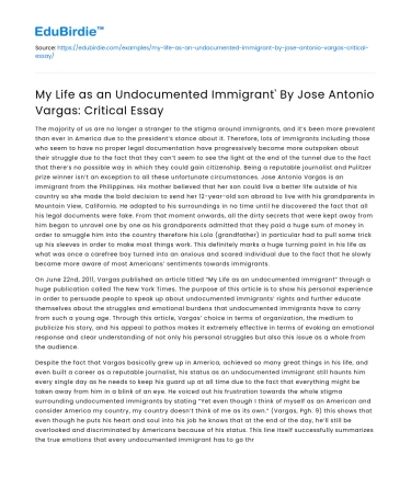 Critical Essay: ‘My Life as an Undocumented Immigrant’