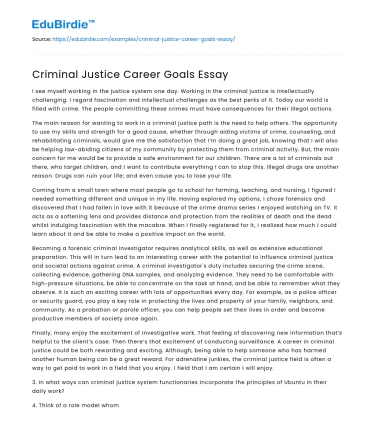 Criminal Justice Career Goals Essay