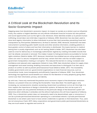 A Critical Look at the Blockchain Revolution and Its Socio-Economic Impact