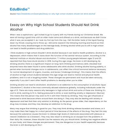 Essay on Why High School Students Should Not Drink Alcohol