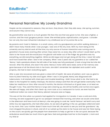 Personal Narrative: My Lovely Grandma