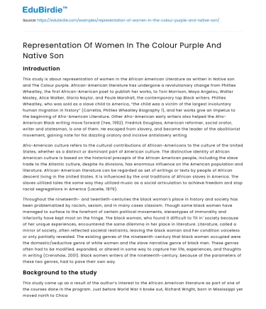 Representation Of Women In The Colour Purple And Native Son