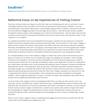 Reflective Essay on My Experiences of Visiting Costco