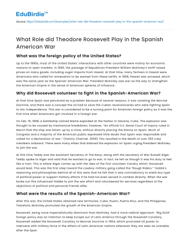 What Role did Theodore Roosevelt Play in the Spanish American War