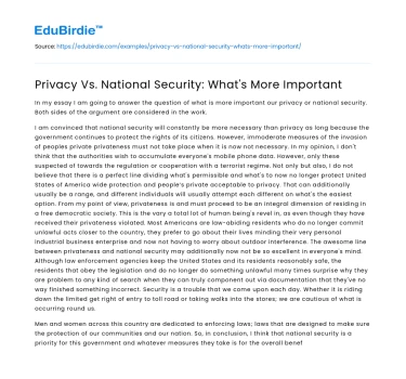 Privacy Vs. National Security: What’s More Important