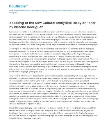 Analyzing “Aria” by Richard Rodriguez