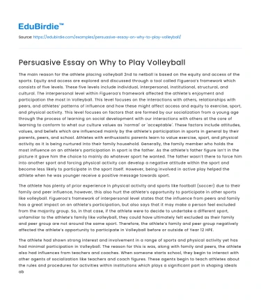 Persuasive Essay on Why to Play Volleyball