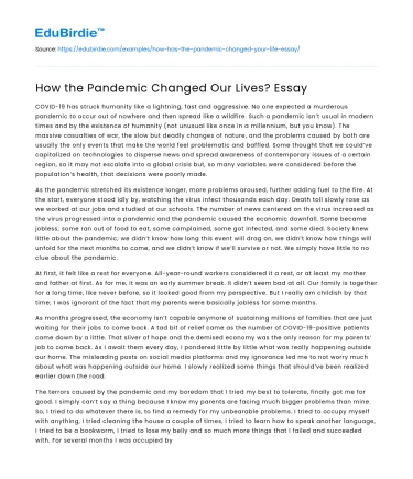 How the Pandemic Changed Our Lives? Essay