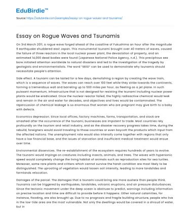 Essay on Rogue Waves and Tsunamis