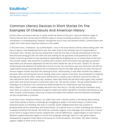Common Literary Devices in Short Stories: Checkouts & American History