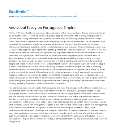 Analytical Essay on Portuguese Empire