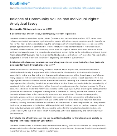 Balance of Community Values and Individual Rights: Analytical Essay