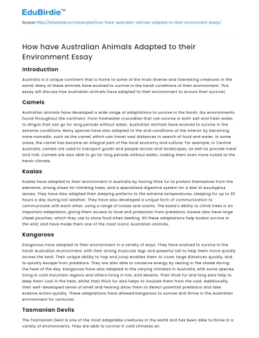 How have Australian Animals Adapted to their Environment Essay