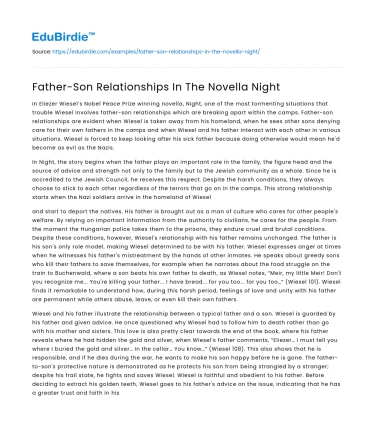 Father-Son Relationships In The Novella Night
