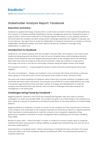 Stakeholder Analysis Report: Facebook