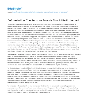 Deforestation: The Reasons Forests Should Be Protected