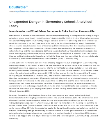 Unexpected Danger in Elementary School: Analytical Essay