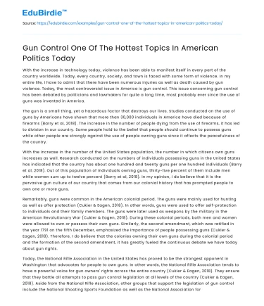Gun Control One Of The Hottest Topics In American Politics Today