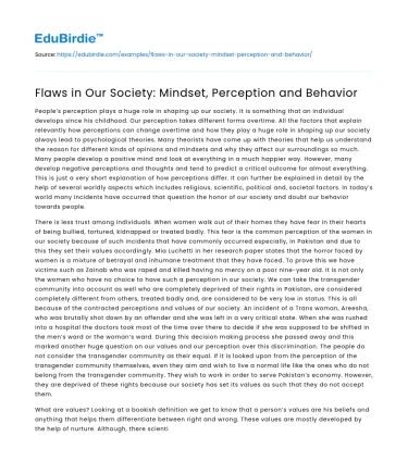 Flaws in Our Society: Mindset, Perception and Behavior