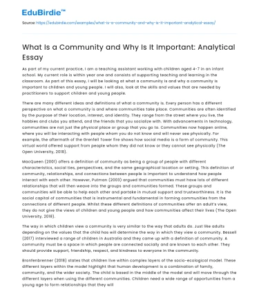 What Is a Community and Why Is It Important: Analytical Essay