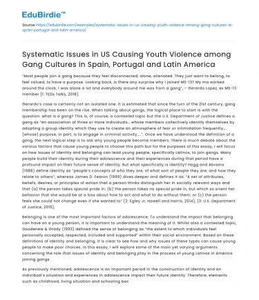 Impact of US Systemic Youth Violence on Gang Cultures in Latin America