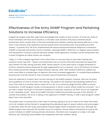 Improving Army SHARP Program for Efficiency