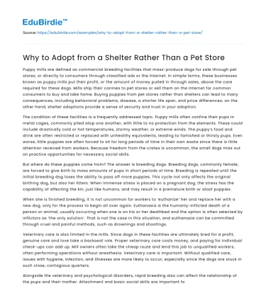 Why to Adopt from a Shelter Rather Than a Pet Store