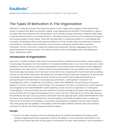 The Types Of Motivation In The Organisation