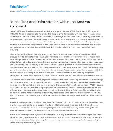 Forest Fires and Deforestation within the Amazon Rainforest