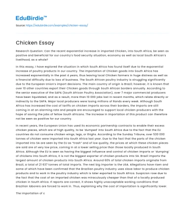 Chicken Essay